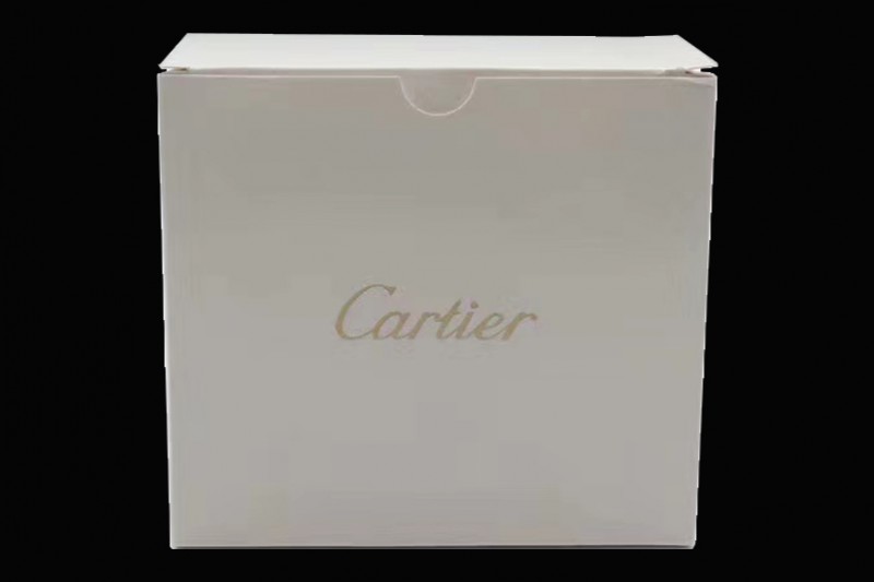 Cartier - High Quality Red Watch Box Set With Full Set of Pamphlet, Card, CD and Tag
