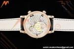 Patek Philippe - Grand Complications 6104R 44mm Celestial Black RG/LE Dia/Num MY9015 Mod