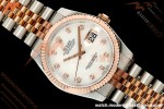 Rolex - Datejust 116231 36mm Jub Flt 316L RG/SS White Mop/Dia GMF A2824