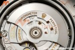 Rolex - Datejust 126334 41mm Jub Flt 904L SS/SS Grey/Stk VF DD3235