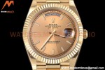 Rolex - DayDate 40mm Flt Pres YG/YG RG/Stk EWF VR3255