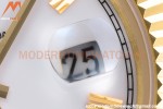 Rolex - DayDate 228238 40mm Flt/Pres YG/YG Wht/Rmn GDF MY8215
