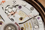 Rolex - Daytona 126515LN 40mm Gain Weight CER/RG/RU CHAMP/BLK/STK Clean Plus DD4131