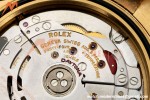 Rolex - Daytona 116508 40mm 904L YG/YG Champ/Stk VF DD4130