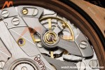 Rolex - Daytona 126505 40mm RG/RG Brn/Blk/Stk RWF DD4131 Free Sprung