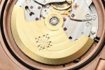 Patek Philippe - Nautilus Automatic Gain Weight 40mm 5711/1R RG/RG Brown DDF DD324