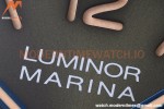 Panerai - PAM1116 Luminor Marina Platinumtech 44mm SS/LE Green TTF P9010