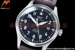 IWC - Mark XX IW328201 Brn SS/LE Black YBF MY9015