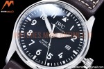 IWC - Mark XX IW328201 Brn SS/LE Black YBF MY9015