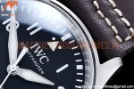 IWC - Mark XX IW328201 Brn SS/LE Black YBF MY9015