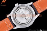 IWC - Mark XX IW328203 Brn SS/LE Blue YBF MY9015