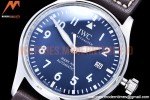 IWC - Mark XX IW328203 Brn SS/LE Blue YBF MY9015