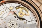 Rolex - GMT II 126715CHNR 40mm Jub RG/RG Tiger Iron Dial 3EF VR3285 CHS