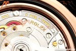 Rolex - GMT II 126715CHNR 40mm Jub RG/RG Tiger Iron Dial THBF SH3285 CHS