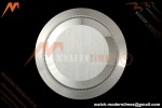 Rolex - Oyster Perpetual 41mm 124300 SS/SS Silver VF DD3230