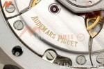 Audemars Piguet - Royal Oak 15510ST 41mm SS/SS Blk/Stk DDF DD4302