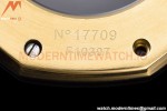 Audemars Piguet - Royal Oak 41mm 15500BA YG/YG Gold GDF MY8215