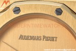 Audemars Piguet - Royal Oak 41mm 15500BA YG/YG Gold GDF MY8215