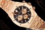 Audemars Piguet - Royal Oak Chronograph 26331OR RG/RG Brn/Stk APWF A2385