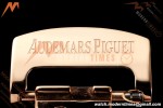 Audemars Piguet - Royal Oak Chrono 26239OR Gain Weight 41mm RG/LE SWF Blue Dial DDF DD4401