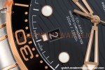 Omega - Seamaster Diver 300m 42mm RG/SS Black VSF A8800