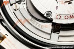 Omega - Seamaster Diver 300m 42mm SS/YG Black Ceramic Black Dial ORF OR8800