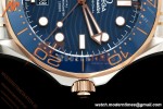 Omega - Seamaster Diver 300m 42mm SS/RG Blue Ceramic Blue Dial ORF OR8800