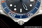 Omega - Seamaster Diver 300m 42mm SS Blue Ceramic Gray Dial ORF OR8800