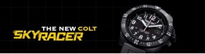 COLT | 망아지