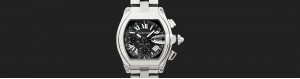 ROADSTER DE CARTIER | 로드스터 드 카르티에