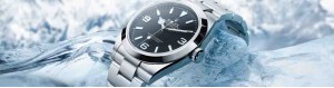 OYSTER PERPETUAL | 오이스터 퍼페추얼