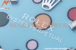 Rolex - Oyster Pert. 36mm 126000 SS/SS Bubbles EWF A3230