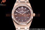 Audemars Piguet - Royal Oak Ladies 67651OR 33mm Dia RG/RG Brown JJF Qtz