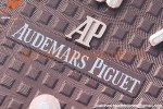 Audemars Piguet - Royal Oak Ladies 67651OR 33mm Dia RG/RG Brown JJF Qtz
